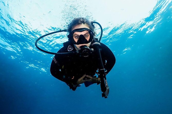 5 Fun Dives in Nusa Lembongan (for certified divers) - Swim with a Mola Mola - What’s included: equipment, wetsuit, weight belt, and real on-site comforts