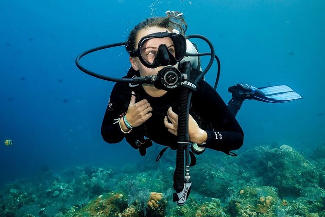 7 Fun Dives in Nusa Lembongan (for certified divers) - Premium Value Package - Staff quality is part of the product: care, briefings, and real support