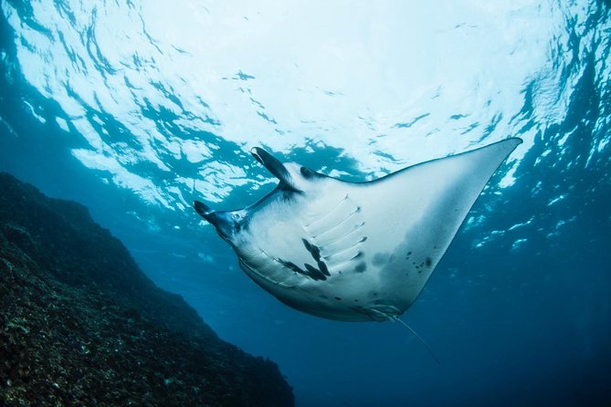 Advanced Open Water Course - Advanced Certification in Lembongan (next to Bali) - What can go wrong (and how to plan around it)
