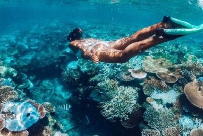 All Inclusive : Bali Blue Lagoon Snorkeling, Lunch, and Transport - Tanjung Jepun: more reef time and more fish variety