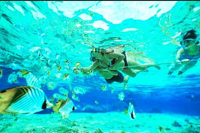 All Inclusive : Bali Blue Lagoon Snorkeling, Lunch, and Transport - Price and value for $44 per person