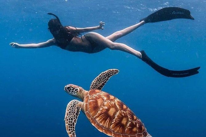 All Inclusive : Bali Blue Lagoon Snorkeling with Lunch &Transfers - Key Highlights You’ll Care About