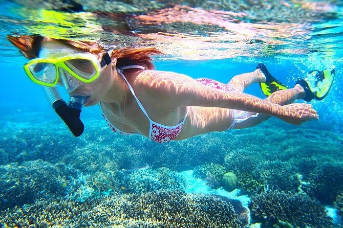 All Inclusive : Bali Blue Lagoon Snorkeling with Lunch &Transfers - Transfers and Private Service: Making the Logistics Less Annoying