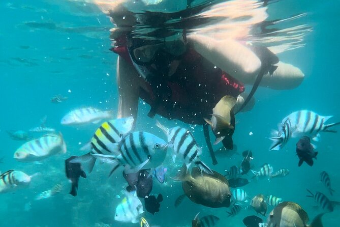 All Inclusive : Bali Blue Lagoon Snorkeling with Lunch &Transfers - Tanjung Jepun: Why a Second Stop Makes the Day Worth It