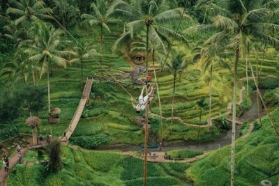 All inclusive Private 3 day tours package : Bali highlights - Day 1 in central Bali: Batuan Temple, art village stops, and Tegalalang swing