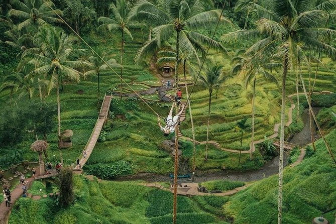All inclusive Private 3 day tours package : Bali highlights - Day 1 in central Bali: Batuan Temple, art village stops, and Tegalalang swing
