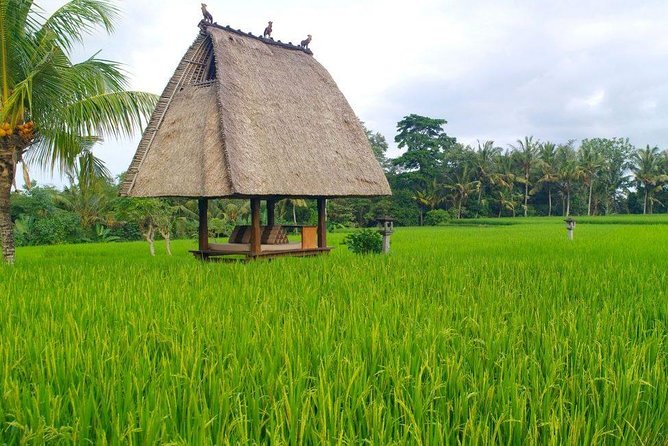 All-Inclusive Ubud Private Tour - Tegalalang Rice Terrace and the subak irrigation system
