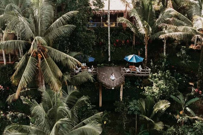 All-Inclusive Ubud Private Tour - Tegenungan Waterfall: the last big picture and the loud payoff