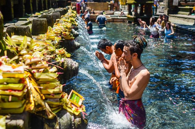 All-Inclusive Ubud Private Tour - Price and what you’re really paying for