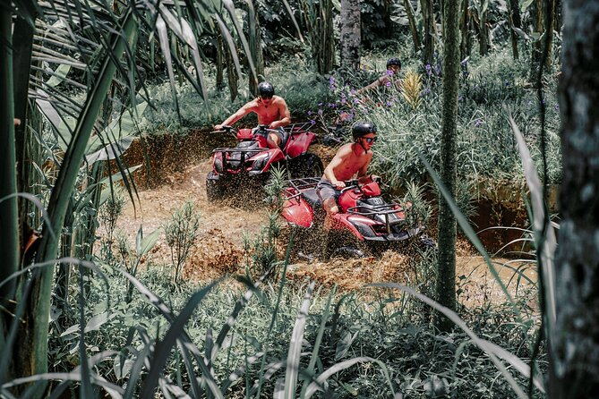 ATV Quad Bike Bali with Waterfall Gorilla Cave and Lunch - Gorilla Cave and Waterfall: The Stops That Give the Day Meaning