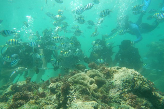 Bali Beaches Hopping - Uluwatu Temple - Geger Beach: the easy swim stop (still with that white-sand feel)