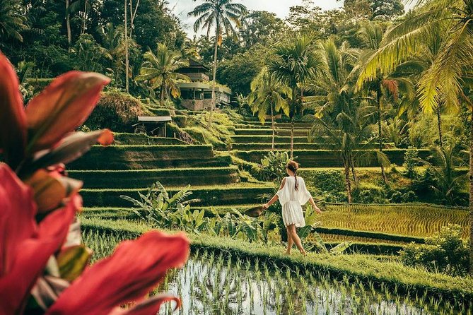 Bali BEST Things to Do Private Full-day Tour from Your Hotel - East Bali Stops: Water Palaces and the Cave Waterfall