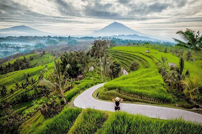 Bali BEST Things to Do Private Full-day Tour from Your Hotel - Art, Crafts, and Where Souvenirs Actually Come From