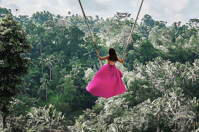 Bali BEST Things to Do Private Full-day Tour from Your Hotel - Optional Add-On: Jungle Swing and the Photo Moment Question