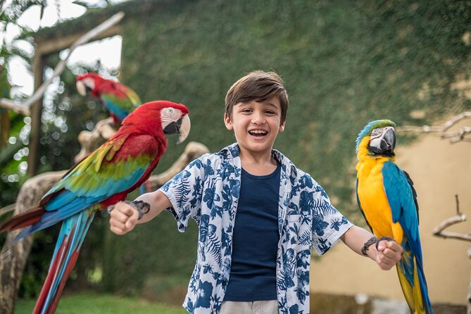 Bali Bird Park Admission Ticket - Interactive feeding experiences: lorikeets, pelicans, and keeper moments