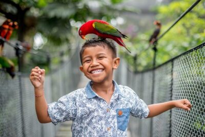 Bali Bird Park Admission Ticket - Entering the park: what “free-roaming” really feels like