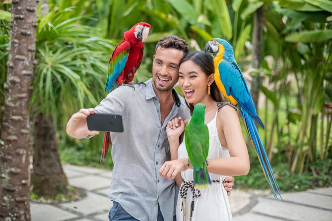 Bali Bird Park Admission Ticket - Food, photos, and what’s not included