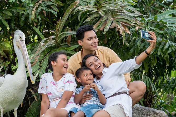 Bali Bird Park Admission Ticket - Price and value: is $18.82 a fair deal in Ubud?