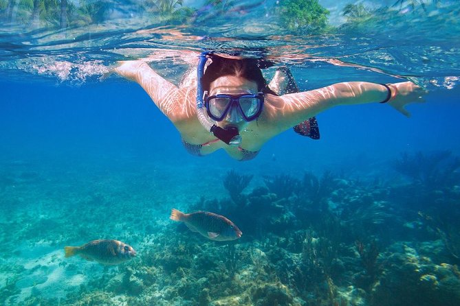 Bali Blue Lagoon Snorkeling Experience - Gear, Lunch, and the Small Comforts That Save Your Day