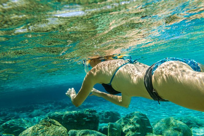Bali Blue Lagoon Snorkeling Experience - Marine Life: What the Tour’s Species List Really Means