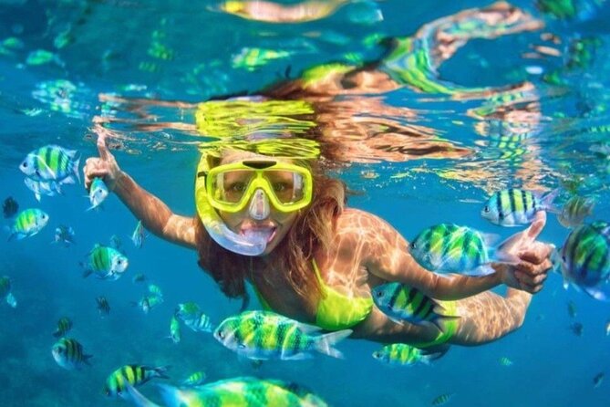 Bali Blue Lagoon Snorkeling - Lunch and Transport All Inclusive - A 6-Hour East Bali Plan: Blue Lagoon + Lempuyang Gates of Heaven