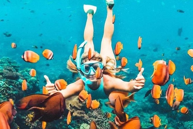 Bali Blue Lagoon Snorkeling - Lunch and Transport All Inclusive - Blue Lagoon Beach and Tanjung Jepun Snorkeling: Two Spots, One Instructor