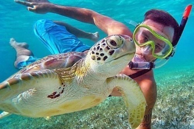 Bali Blue Lagoon Snorkeling - Lunch and Transport All Inclusive - Coffee Plantation Stop: Learning How Balinese Coffee Is Made