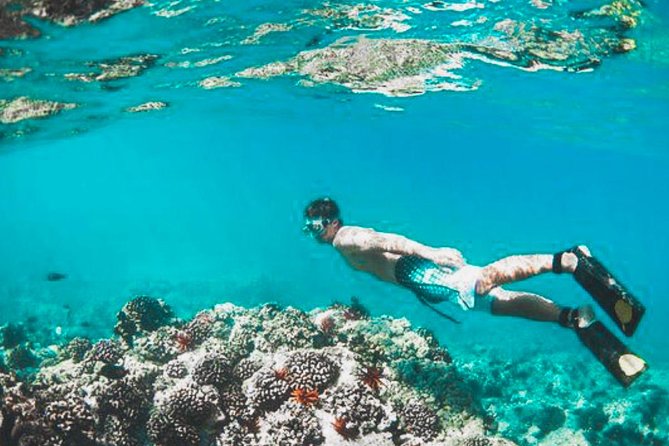 Bali Blue Lagoon Snorkeling - Lunch and Transport All Inclusive - Lunch After Snorkeling: Indonesian A La Carte, Actually Useful