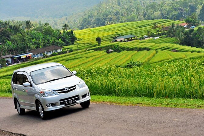 Bali Car Hire with Driver - Ubud and central Bali stops: waterfalls, Monkey Forest, coffee, and photos