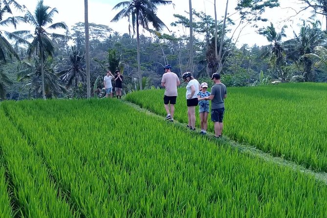 Bali Countryside Cycling Adventure - Price and what you really get for $58