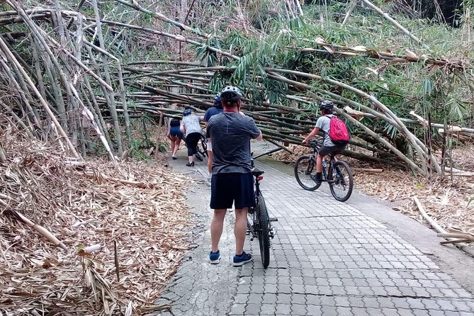 Bali Countryside Cycling Adventure - Penglipuran Bamboo Forest: 7.5 hectares of shade and craft
