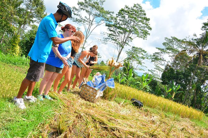 Bali Countryside Cycling Tours - Tegalalang Rice Terrace: Farming, Water, and Photo Time