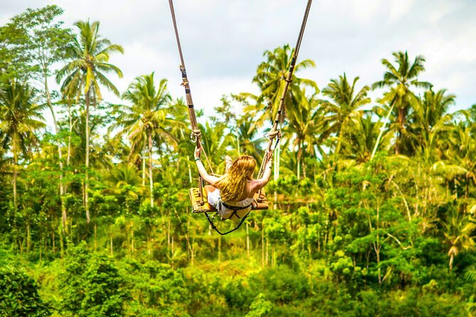 Bali Cultural Experience - Key highlights worth caring about