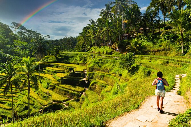 Bali Cultural Experience - Tegalalang Rice Terrace: the walk you’ll remember (plus swing energy)