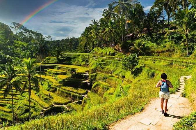 Bali Cultural Experience - The guide makes the day: Wayantawa, Trisna, and Alon Pawitram