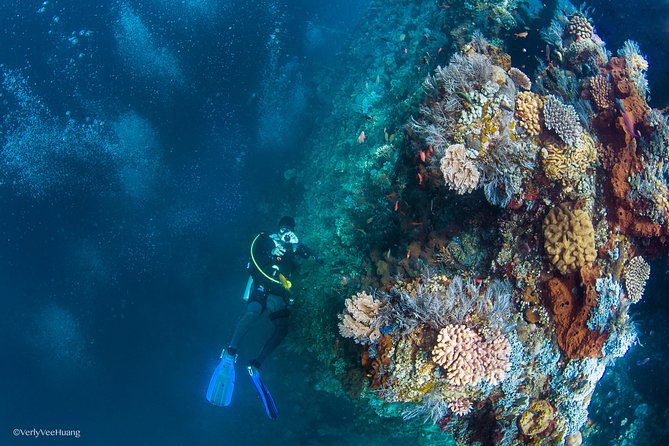 Bali Diving Day Trip-Manta Point/Tulamben Shipwreck-Fun Dive - Getting There From Seminyak: The 7:00–4:00 Day Plan