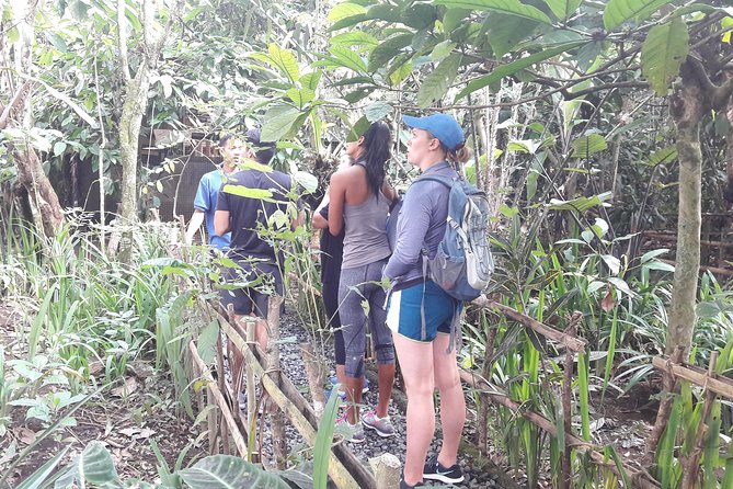 Bali Eco & Educational Cycling Tour - Riding Downhill on Secret Back Roads Through Rural Bali