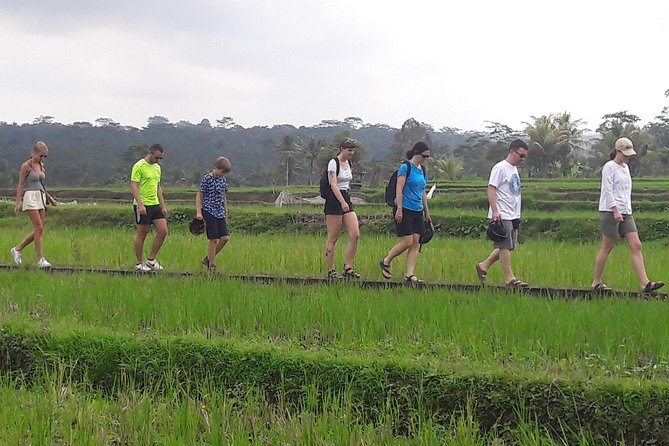 Bali Eco & Educational Cycling Tour - Stops That Turn Photos into Understanding