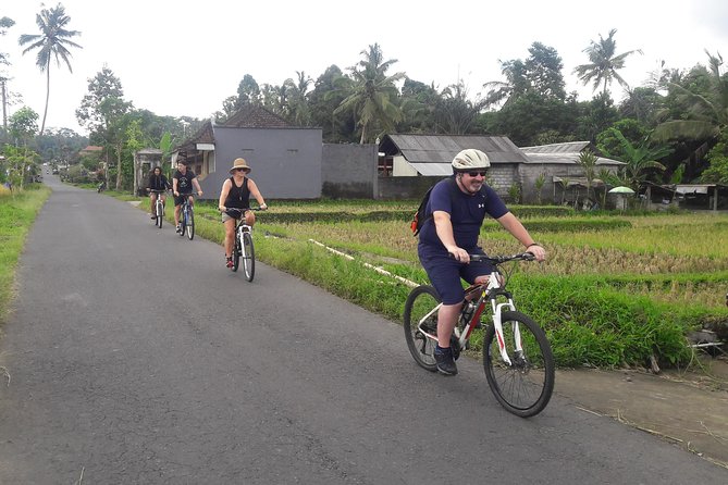 Bali Eco & Educational Cycling Tour - Lunch, Snacks, and Coffee Break: Eating the Right Type of Included