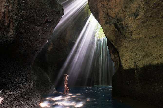 Bali Full Day Tour: Highlights of Ubud and Hidden Waterfall - Price and logistics: what $89 really buys you