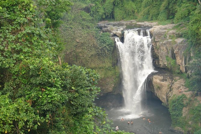 Bali Full-Day Traditional Village Sightseeing Trip All Inclusive - Ubud palace area and the reality of parking
