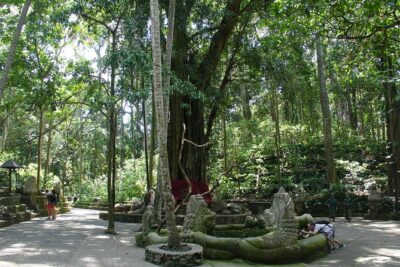 Bali Full-Day Traditional Village Sightseeing Trip All Inclusive - Tegalalang rice terraces (and swing/zip-line options)