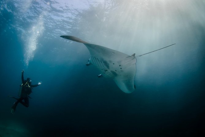 Bali Hai - Reef Cruise - Key things that make this cruise worth your attention