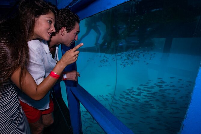 Bali Hai - Reef Cruise - Coral reef restoration workshop and guided village tour