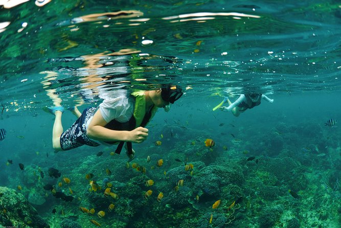 Bali Hai - Reef Cruise - Food, comfort, and the details that keep the day moving