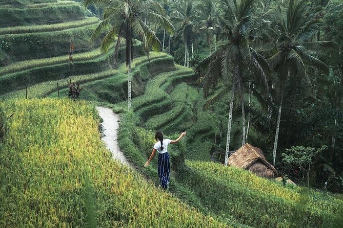 Bali Instagram Tour from Your Hotel (Private & Full-day) - Tirta Gangga water gardens: royal palace ponds and fish-photo energy