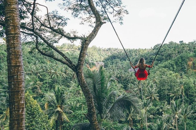 Bali Instagram Tour from Your Hotel (Private & Full-day) - East Bali morning: Lempuyang Temple with the Mount Agung backdrop
