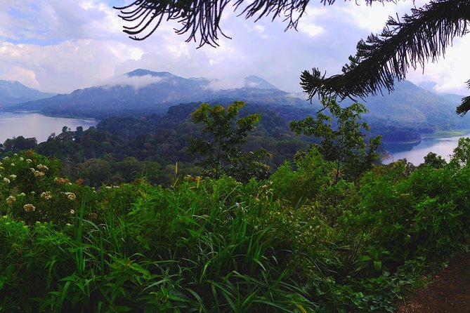 Bali Jungle Trekking and Lake Canoeing Tour - Price and logistics: what $34 really covers