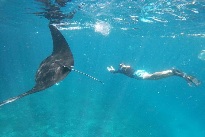 Bali Nusa Penida and Private Snorkeling (Manta Bay, Gamat, Wall) - Key highlights worth your attention