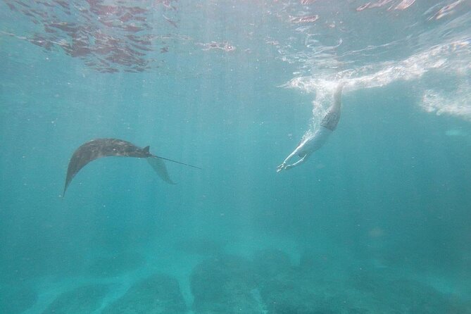 Bali Nusa Penida and Private Snorkeling (Manta Bay, Gamat, Wall) - Kuta to Sanur: the 6:30 am start that makes the day work